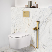 Гигиенический душ VHFW-101BG из латуни в комплекте со смесителем, брашированное золото - Gidratop.ru изображение