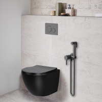 Гигиенический душ VHFW-101GM из латуни в комплекте со смесителем, вороненая сталь - Gidratop.ru изображение