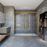 Душевая дверь Garda VDS-1G2170CLG, 1700, брашированное золото, стекло прозрачное - Gidratop.ru изображение