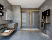 Душевая дверь Garda VDS-1G2170CLG, 1700, брашированное золото, стекло прозрачное - Gidratop.ru изображение