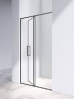 Душевая дверь Slim 8mm VDP-4SL120CLGM, вороненая сталь, стекло прозрачное - Gidratop.ru изображение