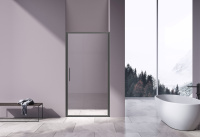 Душевая дверь Slim 8mm VDP-4SL900CLGM, вороненая сталь, стекло прозрачное - Gidratop.ru изображение