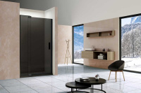 Душевая дверь Extra VDP-1E1112CGB, 1100/1200, черный, стекло тонированное - Gidratop.ru изображение