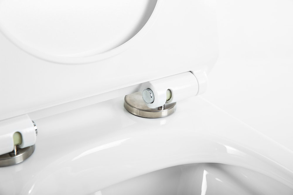 Унитаз-компакт безободковый BelBagno SFERA-R BB2141CPR/ BB2111SC - Gidratop.ru изображение