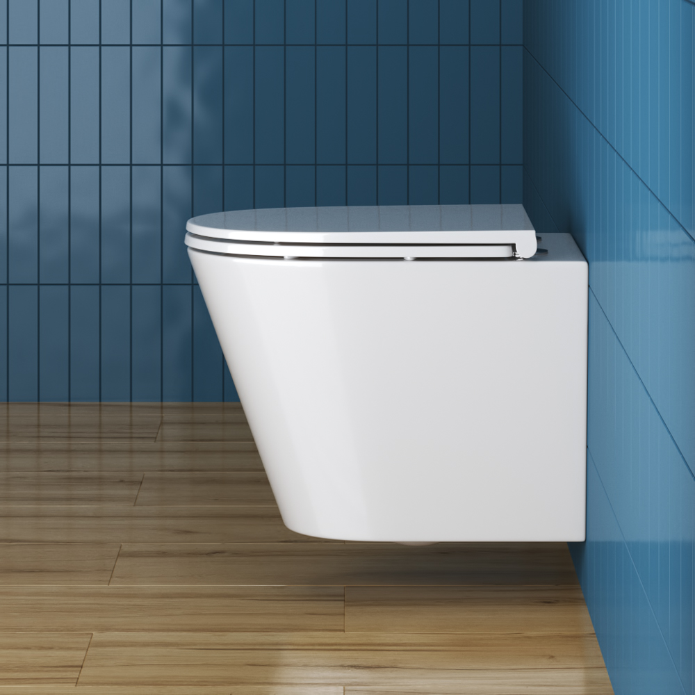 TRE Чаша унитаза подвесного c креплением и сиденьем дюропласт soft close BB8001CHR/SC - Gidratop.ru изображение