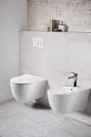 Унитаз подвесной Evo VT1-34S безободковый, цвет белый, ультратонкое soft-close сиденье - Gidratop.ru изображение