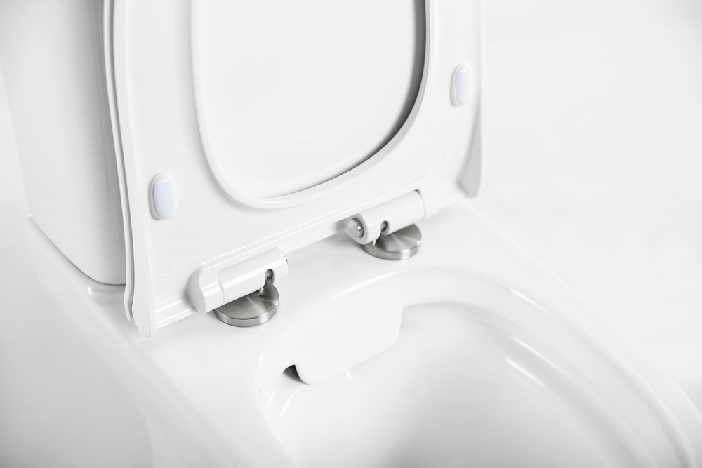 Унитаз-компакт безободковый BelBagno STEAM BB130CPR/SC/BB130T - Gidratop.ru изображение