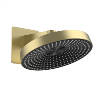 Верхний душ WONZON & WOGHAND, Брашированное золото (WW-HS099-BG) - Gidratop.ru изображение
