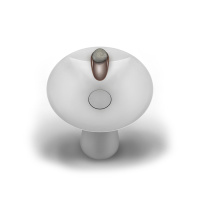 Gessi Equilibrio ручка однорычажного смесителя для раковины, дизайнерская, цвет: Forest Gold