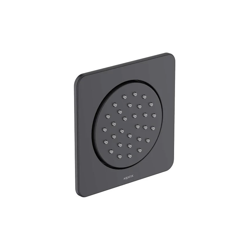 Форсунка для душа Aquatek AQ2099MB, цвет черный матовый - Gidratop.ru изображение