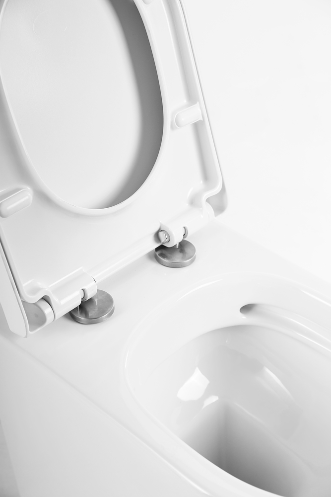 Унитаз приставной безободковый BelBagno MARINO BB105CBR/BB865SC - Gidratop.ru изображение