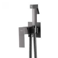 Смеситель ABBER Daheim AF8226NG с гигиеническим душем, никель - Gidratop.ru изображение