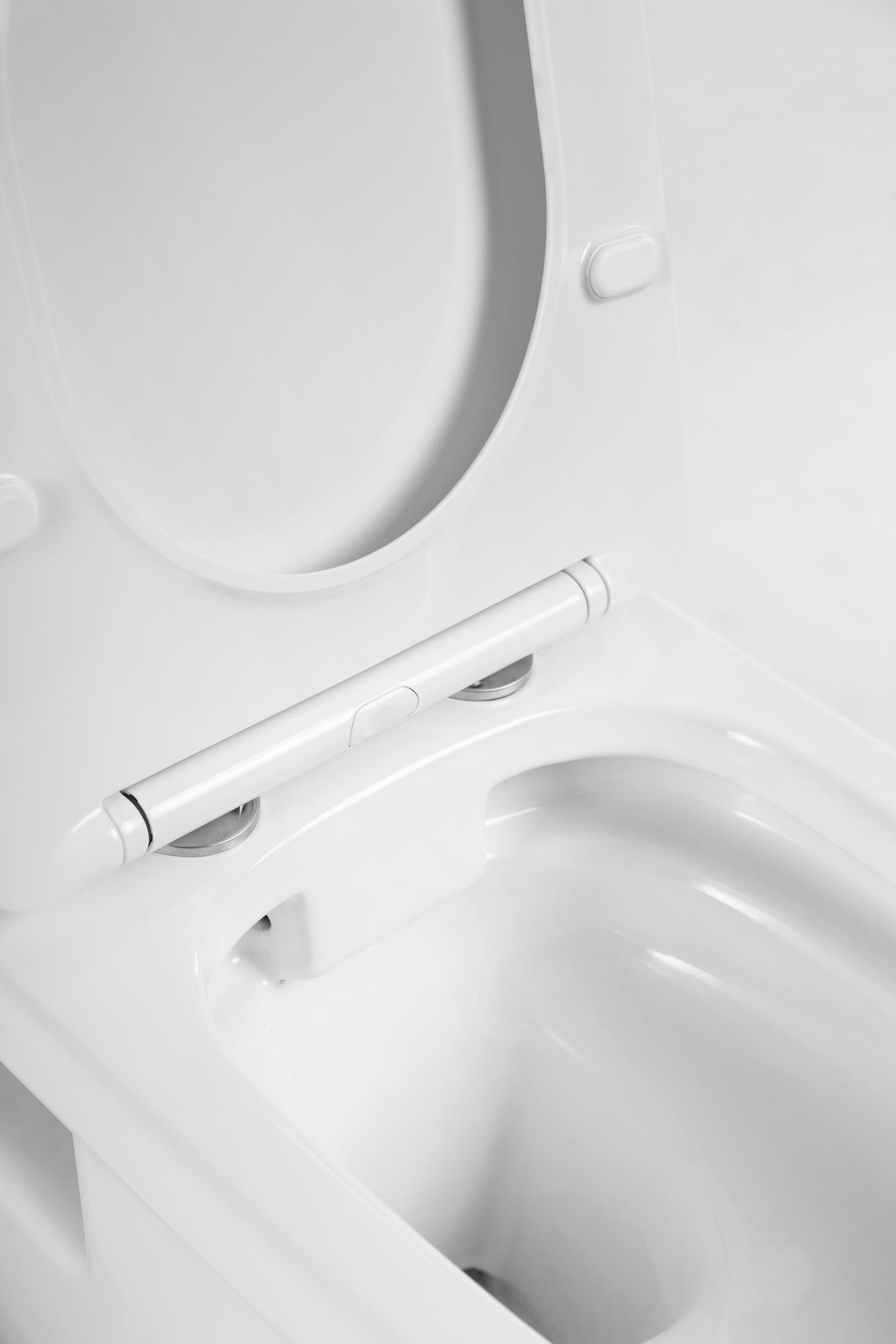 LOTO Чаша унитаза подвесного c креплением и сиденьем дюропласт soft close BB070CHR/SC - Gidratop.ru изображение