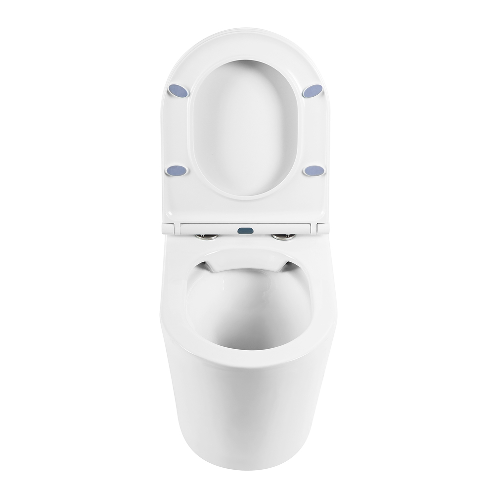 Унитаз приставной безободковый BelBagno FLAY-R BB1003CBR/BB870SC - Gidratop.ru изображение