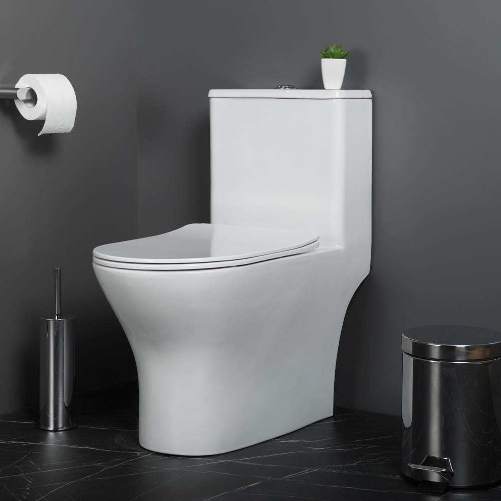 LOUNGE Унитаз-моноблок с сиденьем дюропласт soft close, P-trap BB8618CPR-MN/SC - Gidratop.ru изображение
