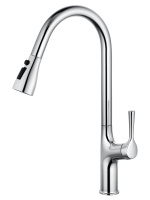 Смеситель для кухни с выдвижным изливом WONZON & WOGHAND, Хром (WW-AE54123-CR) - Gidratop.ru изображение