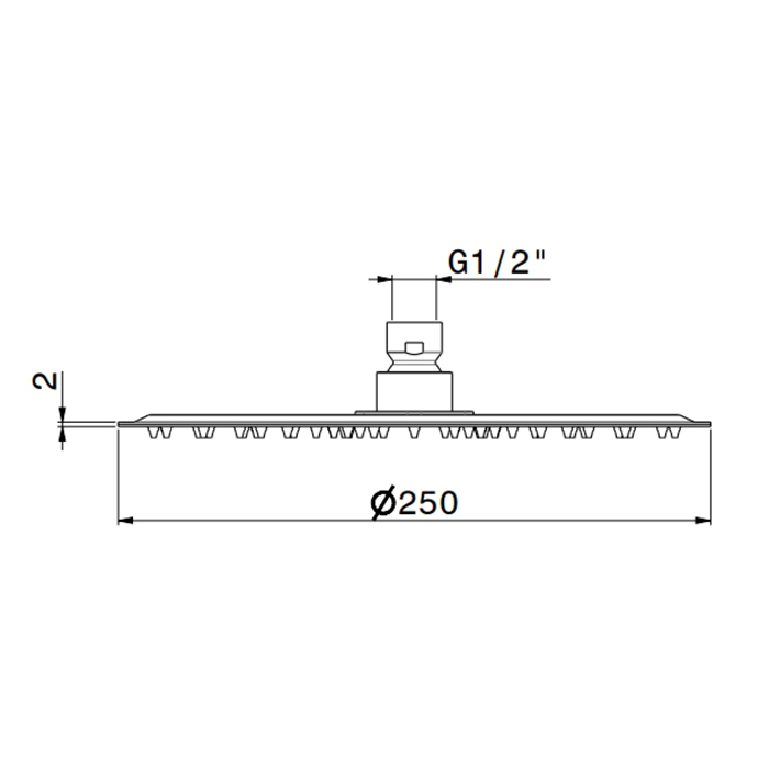 Newform X-STEEL 316 Верхний душ, d250 мм, без кронштейна, G1/2" , цвет: INOX - Gidratop.ru изображение