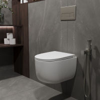 Унитаз подвесной Evo VT1-64ST Tornado, цвет белый, ультратонкое сиденье soft-close - Gidratop.ru изображение