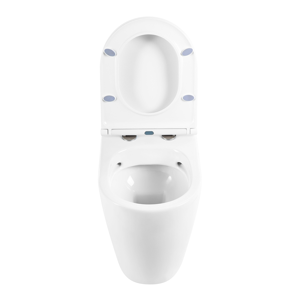 Унитаз приставной безободковый BelBagno MARINO BB105CBR/BB870SC - Gidratop.ru изображение