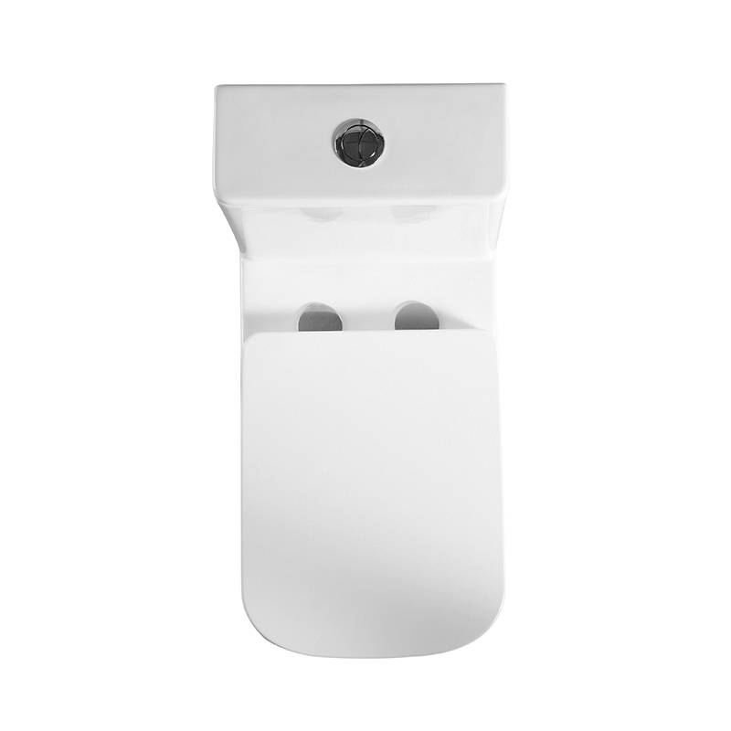 NEON Унитаз-моноблок с сиденьем дюропласт soft close, P-trap BB8617CPR-MN/SC - Gidratop.ru изображение