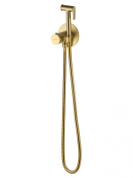 Смеситель с гигиеническим душем и термостатом встраиваемый WONZON & WOGHAND, Брашированное золото (WW-88829909-BG) - Gidratop.ru изображение