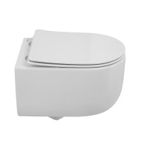 Унитаз подвесной безободковый BelBagno SOFT-TOR BB084CH-TOR/BB051SC - Gidratop.ru изображение