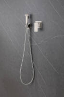 Смеситель ABBER Daheim AF8225SP с гигиеническим душем, сатин - Gidratop.ru изображение