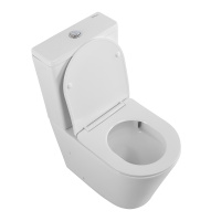 Унитаз-компакт безободковый BelBagno FLAY-TOR BB2149CP-TOR/BB2149T/BB089SC - Gidratop.ru изображение