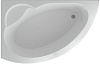 Акриловая ванна Aquatek Аякс 2 170х110 (левая, без гидромассажа) AYK170-0000005 - Gidratop.ru изображение