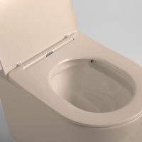 Унитаз подвесной Piatti VT1-11SMC, цвет капучино матовый, ультратонкое soft-close сиденье - Gidratop.ru изображение
