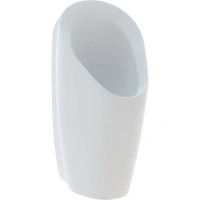 Писсуар Geberit Preda 116.071.00.1, без воды - Gidratop.ru изображение