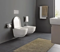 Подвесной унитаз Laufen Pro Rimless 8.2096.6.000.000.1, безободковый - Gidratop.ru изображение