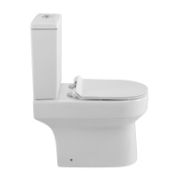 Унитаз-компакт безободковый BelBagno NORMA BB339CPR/BB339T/BB076SC - Gidratop.ru изображение