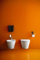 Подвесной унитаз-биде Laufen Kartell 8303314003021 - Gidratop.ru изображение