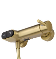 Смеситель для душа с встроенным изливом WONZON & WOGHAND MUSE Corno, Брашированное золото (WW-A30902-BG) - Gidratop.ru изображение