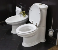 Напольный унитаз Villeroy&Boch Amadea 7695 10R1 крышка микролифт 7695 10R1/7795 11R1/8810 61R1 - Gidratop.ru изображение