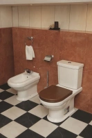 Биде Villeroy&Boch Hommage 744200R1, напольное - Gidratop.ru изображение