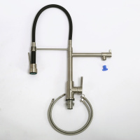 Смеситель для кухни с поворотным и гибким изливом, нержавеющая сталь, исполнение сатин BB-LAM50-IN - Gidratop.ru изображение