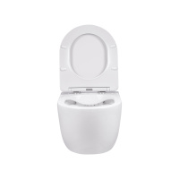 Унитаз подвесной Evo VT1-34S безободковый, цвет белый, ультратонкое soft-close сиденье - Gidratop.ru изображение