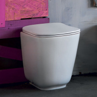 Унитаз напольный пристенный 55х35см, безободковый, c креплением WB5N, цвет: белый матовый - Gidratop.ru изображение