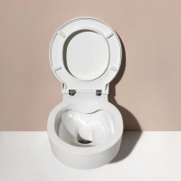 Подвесной унитаз Laufen Val 8202810000001 безободковый (8.2028.1.000.000.1) - Gidratop.ru изображение