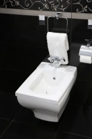 Биде Villeroy&Boch La Belle 5427 00R1 подвесное - Gidratop.ru изображение