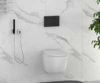 Кнопка смыва сенсорная ABBER AC0122SMB черная матовая - Gidratop.ru изображение