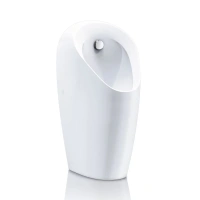 Писсуар Geberit Selva 116.080.00.1, для встроенной системы смыва - Gidratop.ru изображение