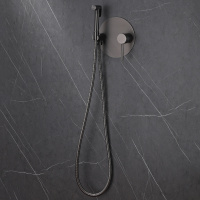 Смеситель ABBER Emotion AF8826NG с гигиеническим душем, никель - Gidratop.ru изображение