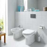 Приставной унитаз Laufen Pro 8.2295.1.000.000.1 выпуск Vario - Gidratop.ru изображение