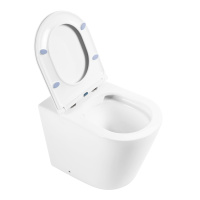 Унитаз приставной безободковый BelBagno FLAY-R BB1003CBR/BB870SC - Gidratop.ru изображение