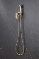 Смеситель ABBER Wasserfall AF8625G с гигиеническим душем, золото матовое - Gidratop.ru изображение