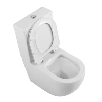 Унитаз-компакт безободковый BelBagno AMANDA BB051CPR/BB051T/BB076SC - Gidratop.ru изображение