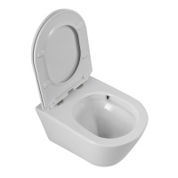 Унитаз подвесной безободковый с сиденьем CEZARES LINER CZR-3808-53-TH-TOR/SC - Gidratop.ru изображение